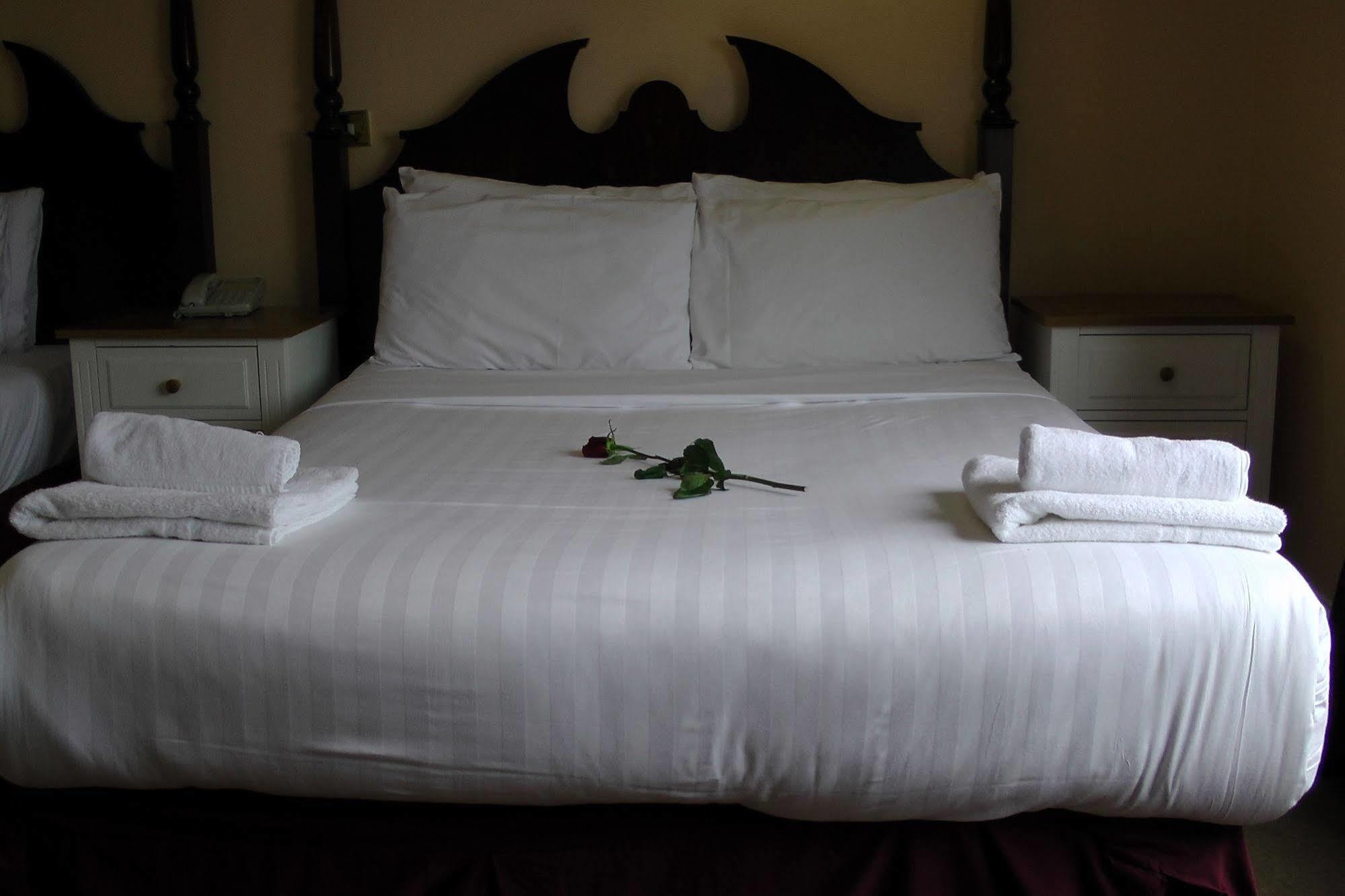Shamrock Inn Hotel Лехінч Екстер'єр фото
