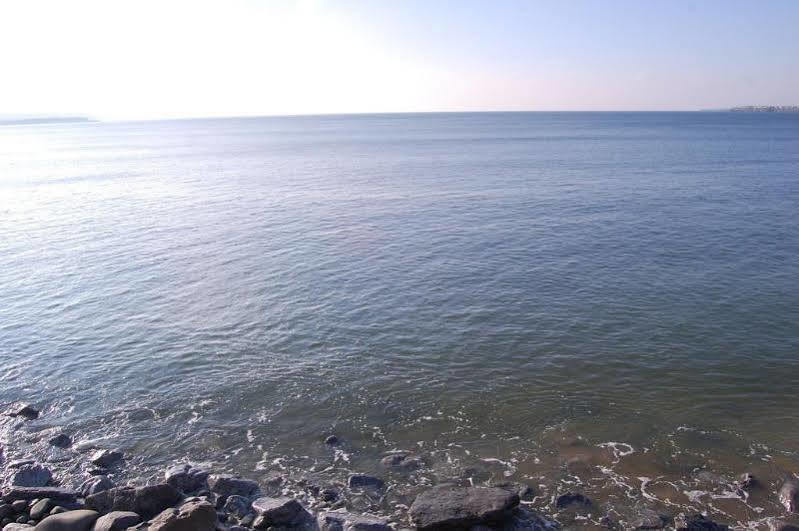 Shamrock Inn Hotel Лехінч Екстер'єр фото